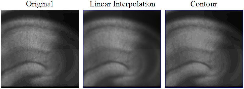 2D Imaging Data Rendering