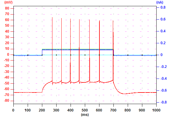 Action Potential