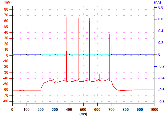 Trains of Action Potentials